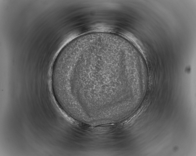 X0000098021235200804181154