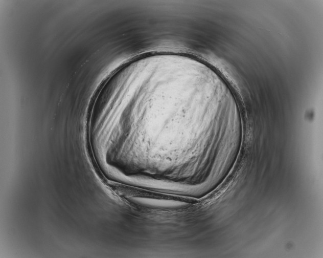 X0000098021237200804181154