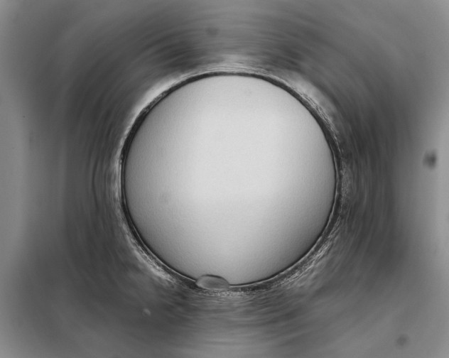 X0000098021238200804181154