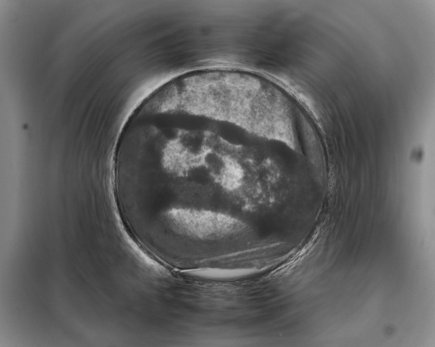 X0000098021239200804181154