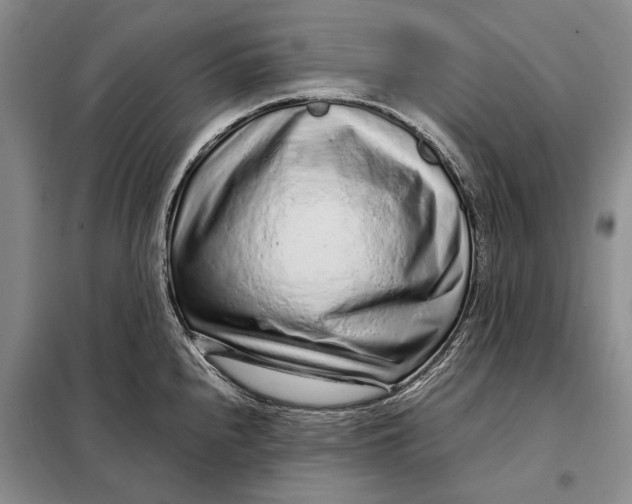 X0000098021240200804181154