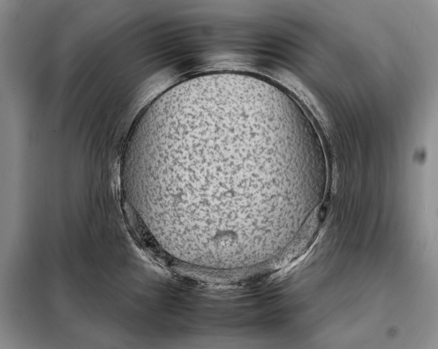 X0000098021241200804181154