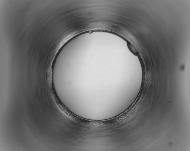 X0000098021242200804181154