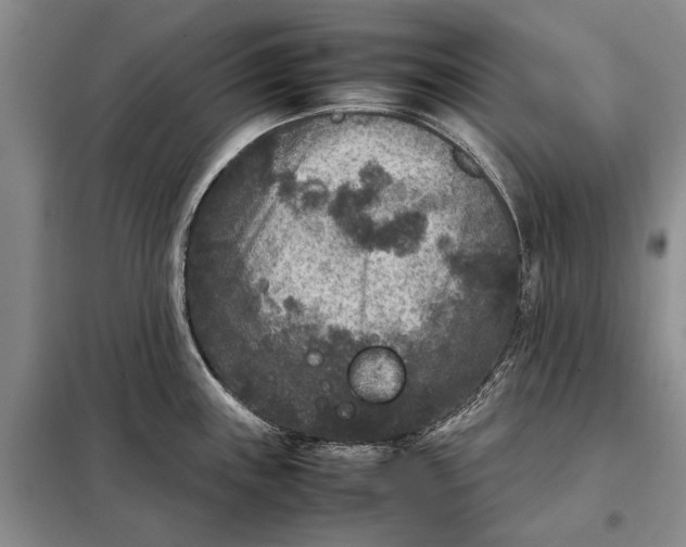 X0000098021243200804181154