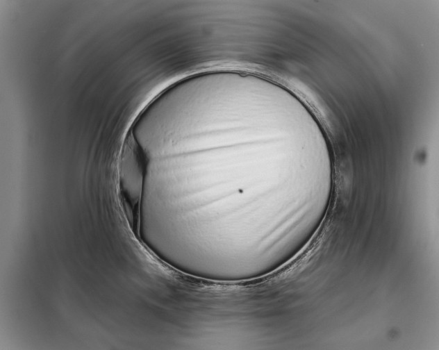 X0000098021244200804181154