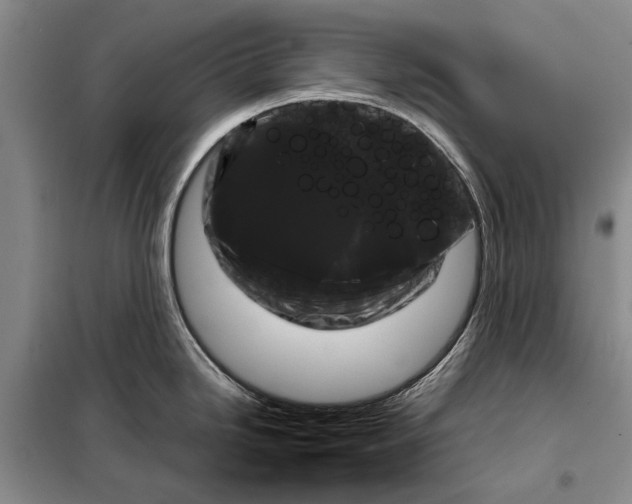 X0000098021246200804181154