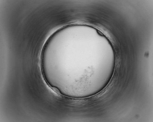 X0000098021247200804181154