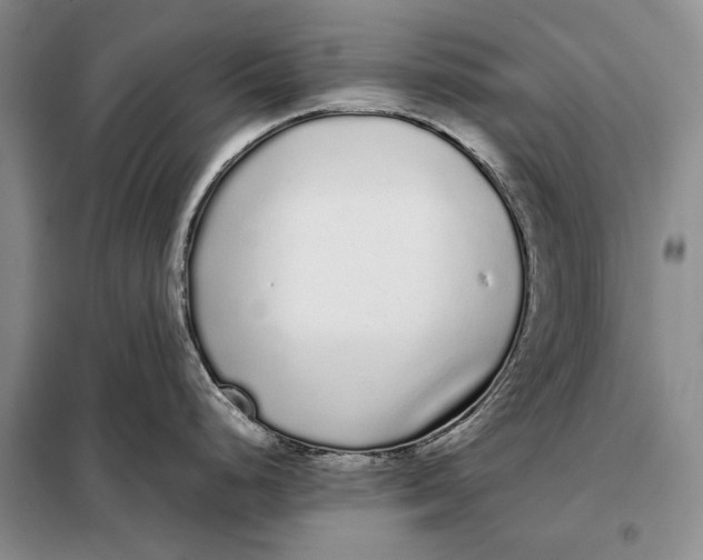 X0000098021248200804181154