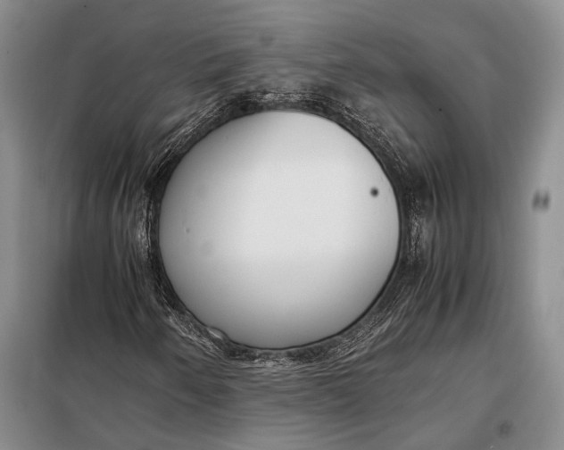 X0000098021250200804181153