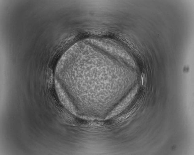 X0000098021251200804181153