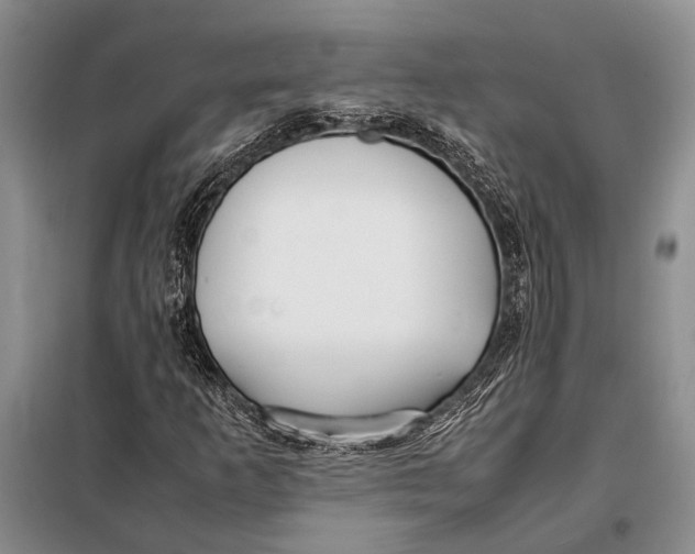 X0000098021253200804181153