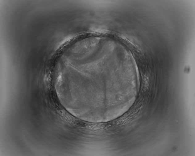 X0000098021254200804181153