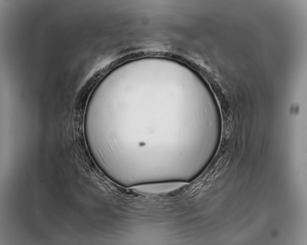 X0000098021255200804181153