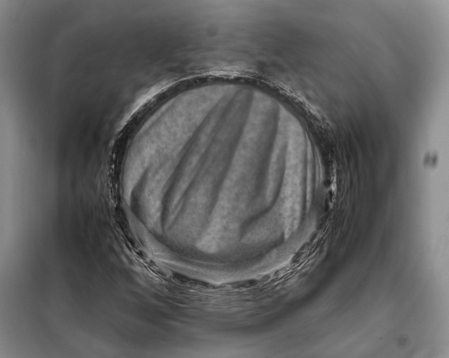 X0000098021256200804181153