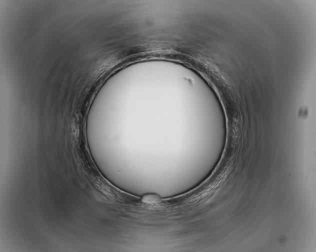 X0000098021257200804181153