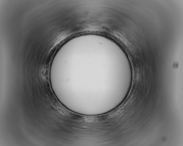 X0000098021258200804181153