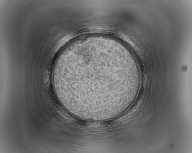 X0000098021259200804181153