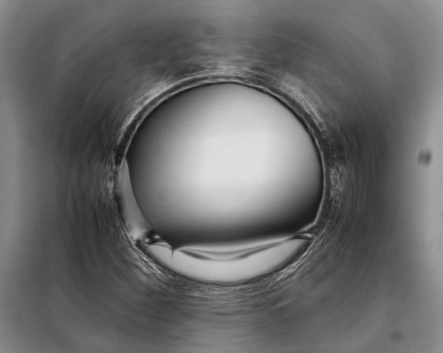 X0000098021260200804181153