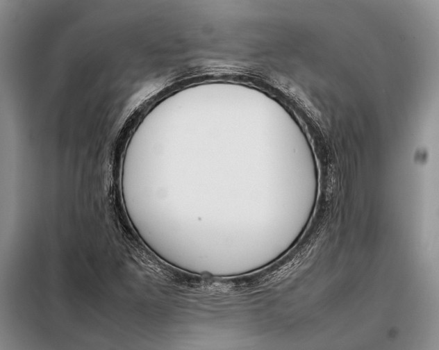 X0000098021261200804181153