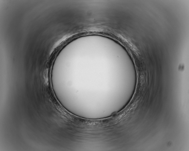 X0000098021262200804181153