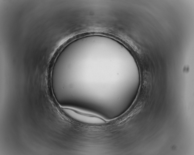 X0000098021264200804181153