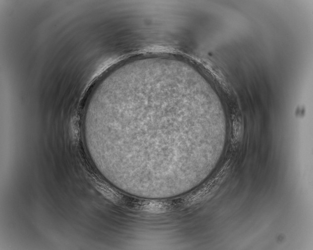 X0000098021266200804181153