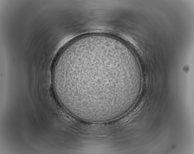 X0000098021267200804181153