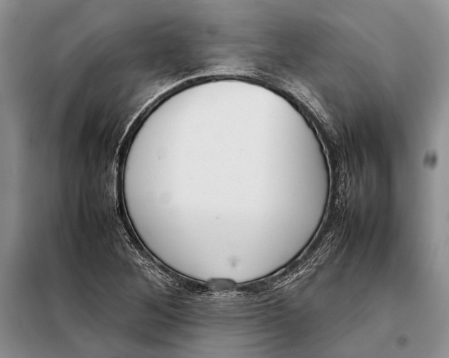 X0000098021268200804181153