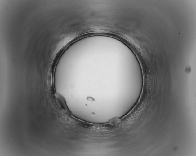 X0000098021269200804181153