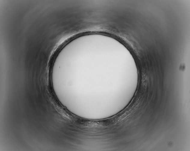 X0000098021270200804181153