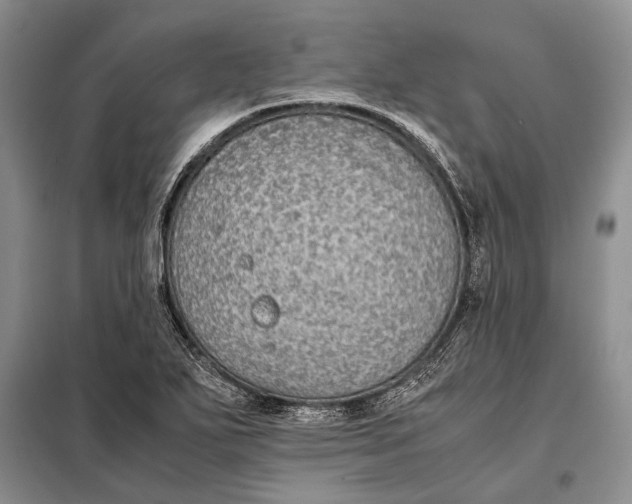 X0000098021271200804181153