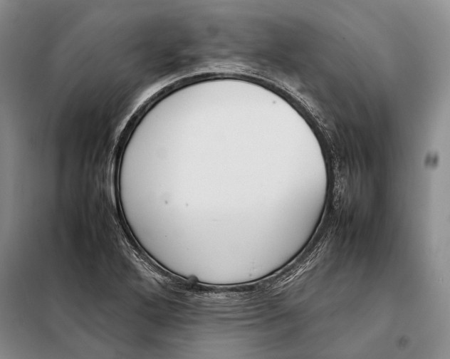 X0000098021272200804181153