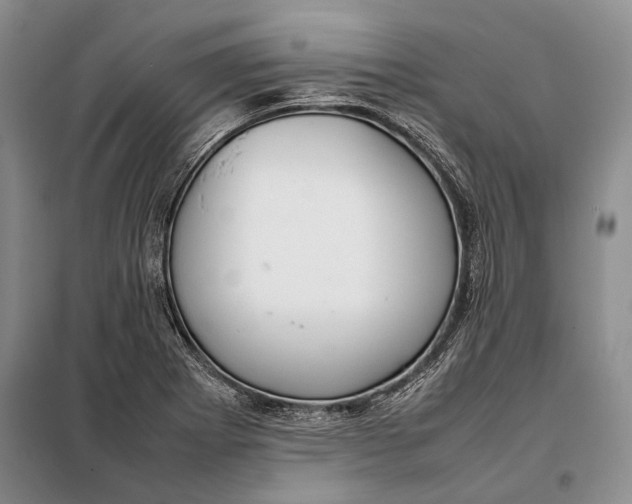 X0000098021273200804181153