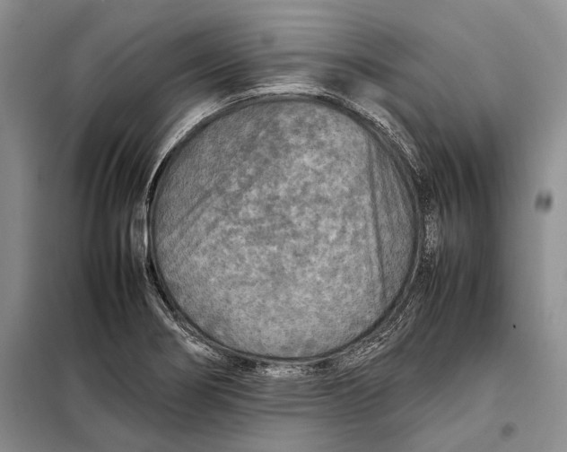 X0000098021274200804181153