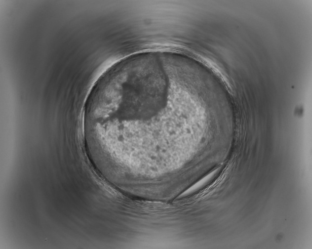 X0000098021275200804181153