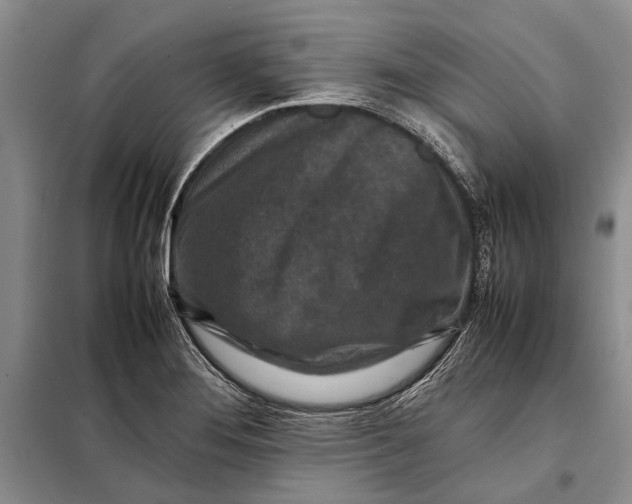 X0000098021276200804181153