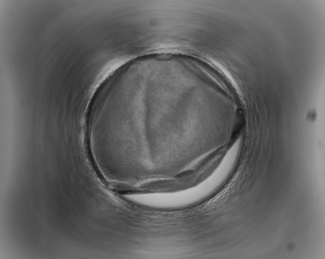 X0000098021277200804181153