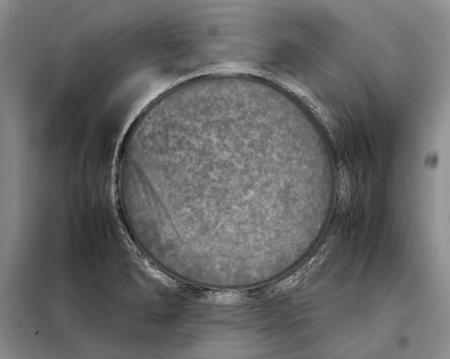 X0000098021278200804181153