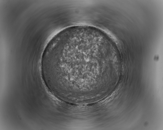 X0000098021279200804181153