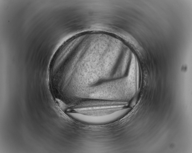 X0000098021280200804181153