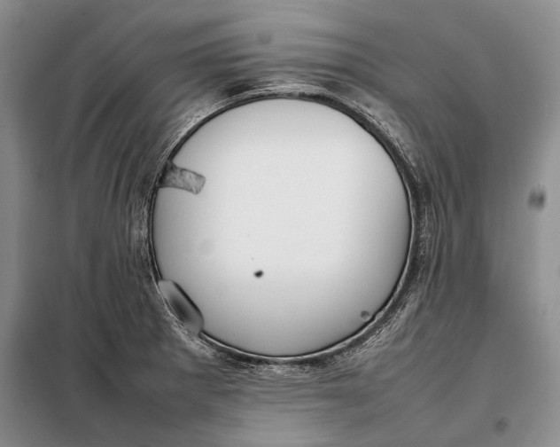 X0000098021281200804181153