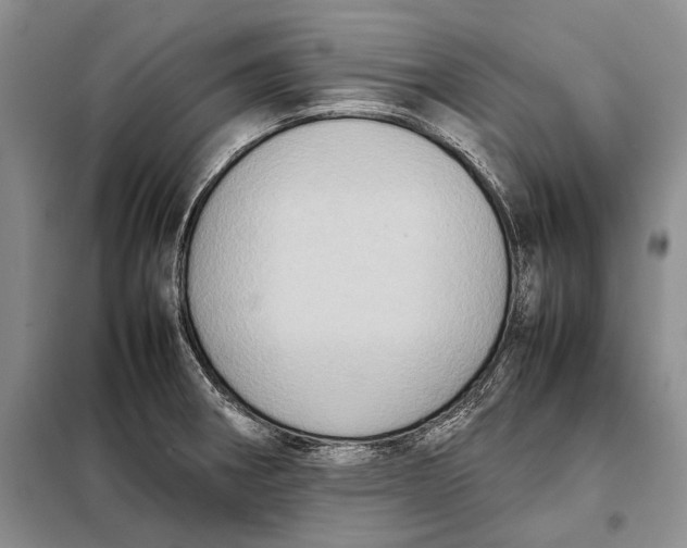 X0000098021282200804181153