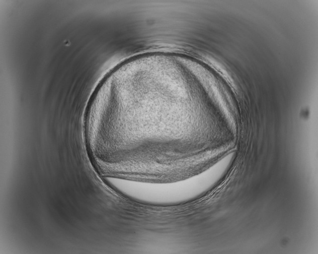 X0000098021283200804181153