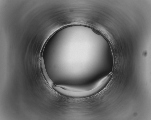 X0000098021284200804181153