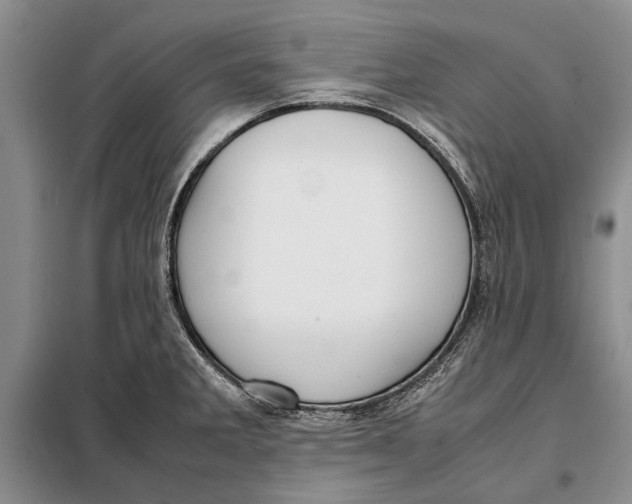 X0000098021285200804181153