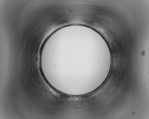 X0000098021286200804181153