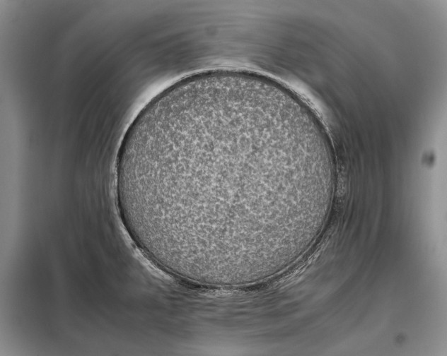 X0000098021287200804181153