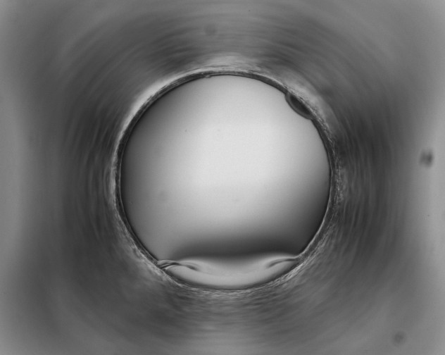 X0000098021288200804181153