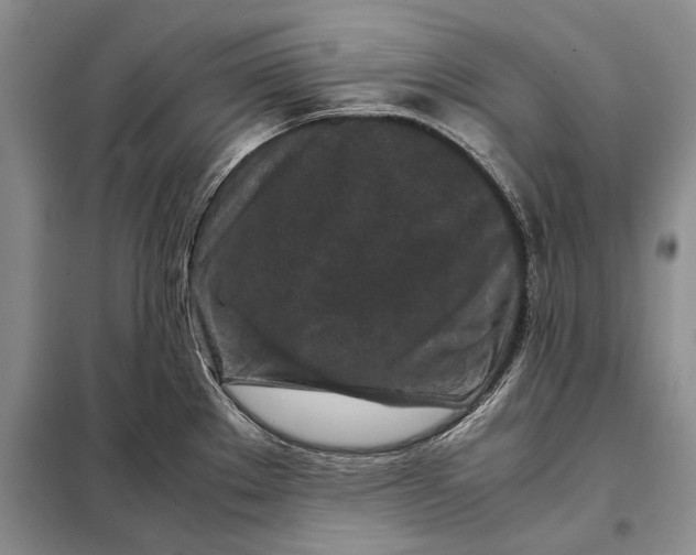 X0000098021289200804181153