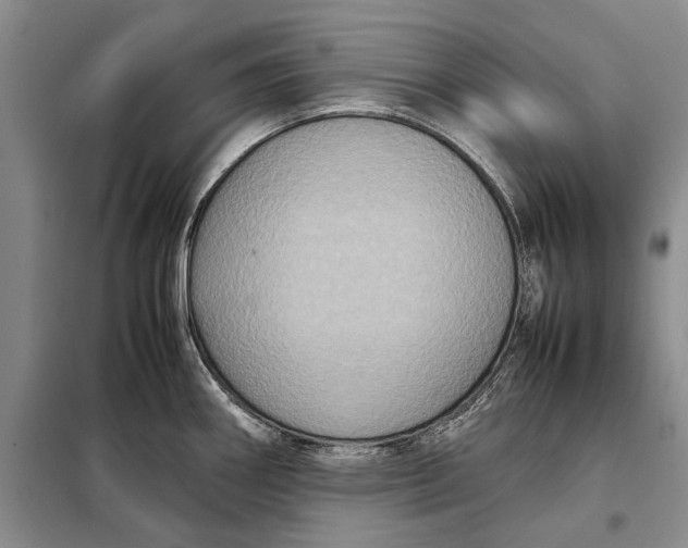 X0000098021290200804181153